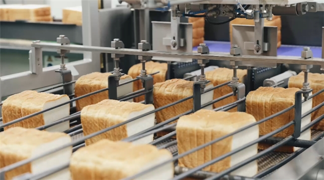 新利luck18(中国)体育·官方网站